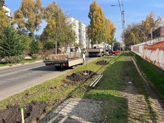 Fák ültetése és termőföld kiszállítás kép, 3