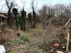 Telektakarítás 2, Gáspár Földmunka